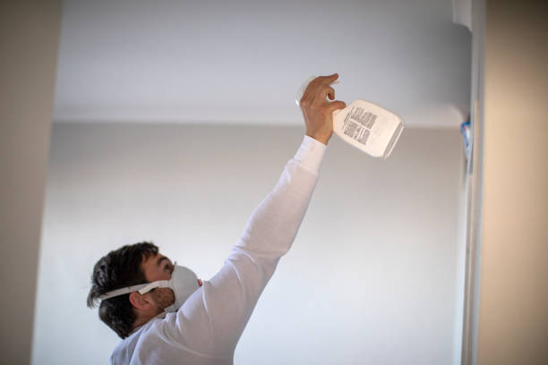 Best Certified Mold Removal  in Welsh, LA