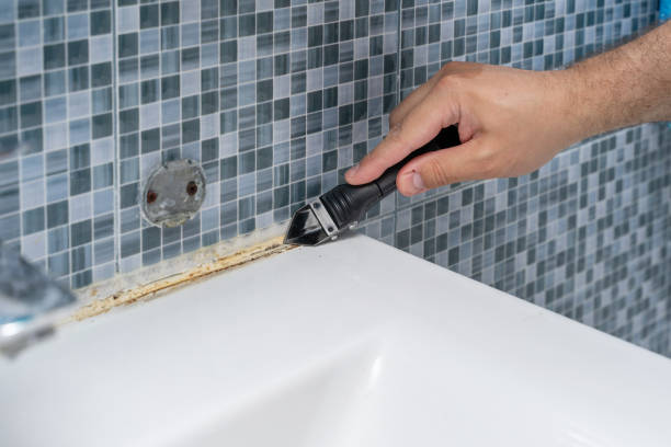 Best Mold Testing  in Welsh, LA
