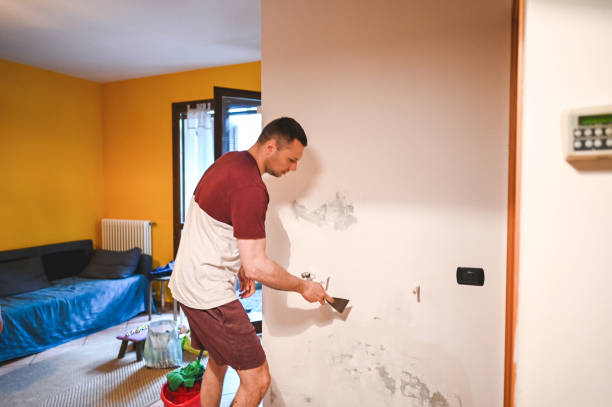 Best Office Mold Removal Services  in Welsh, LA