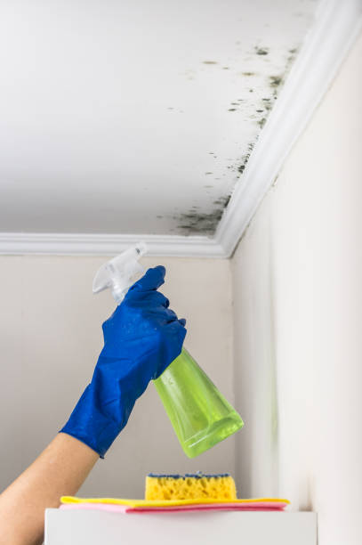 Best Water Damage Restoration  in Welsh, LA